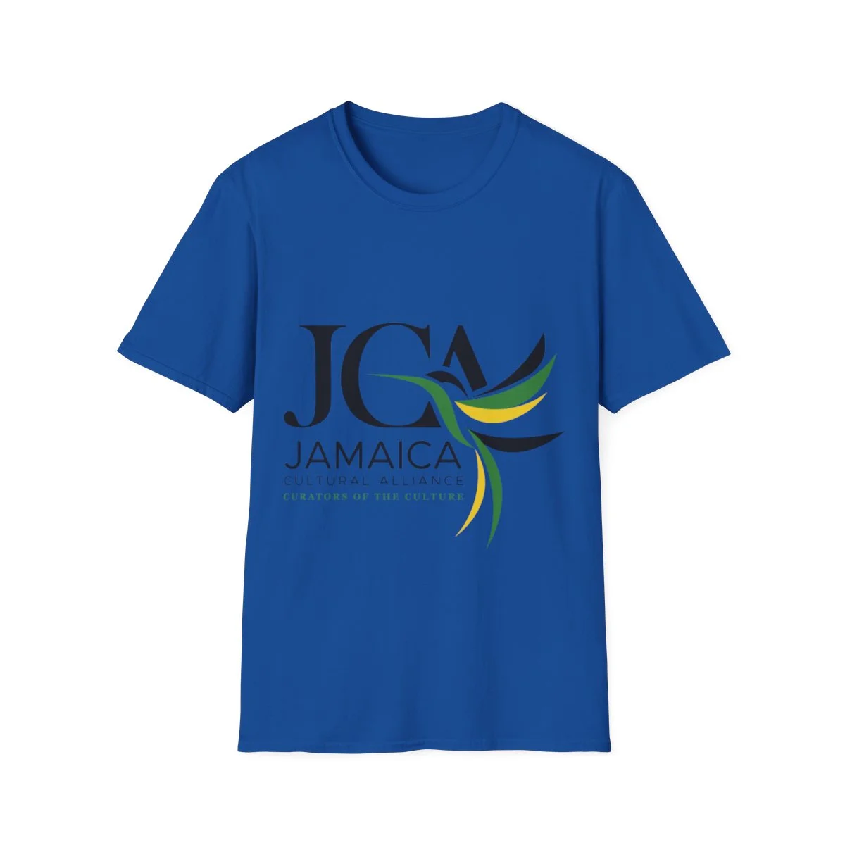 JCA Unisex T-shirt - Grey